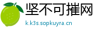 坚不可摧网